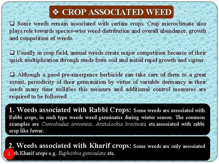 v CROP ASSOCIATED WEED q Some weeds remain associated with certain crops. Crop microclimate