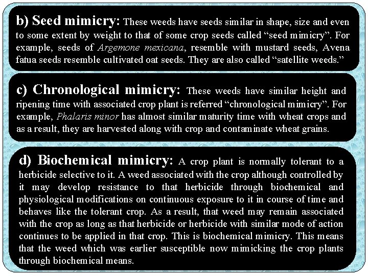 b) Seed mimicry: These weeds have seeds similar in shape, size and even to