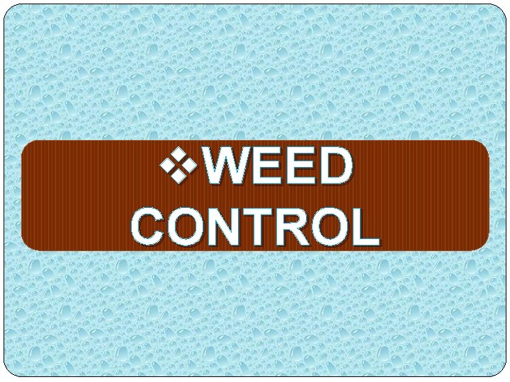 v. WEED CONTROL 