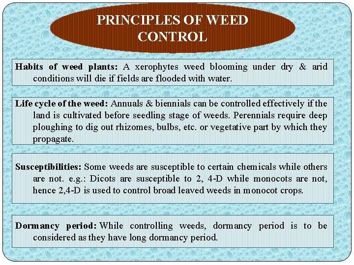 PRINCIPLES OF WEED CONTROL Habits of weed plants: A xerophytes weed blooming under dry