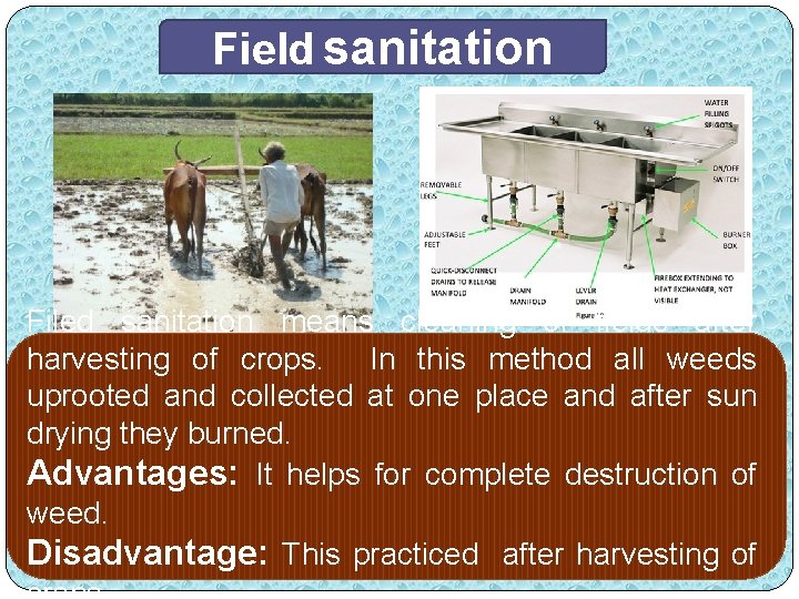 Field sanitation Filed sanitation means cleaning of fields after harvesting of crops. In this