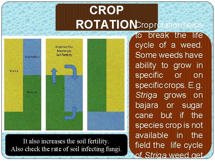 CROP ROTATIONCrop rotation helps It also increases the soil fertility. Also check the rate