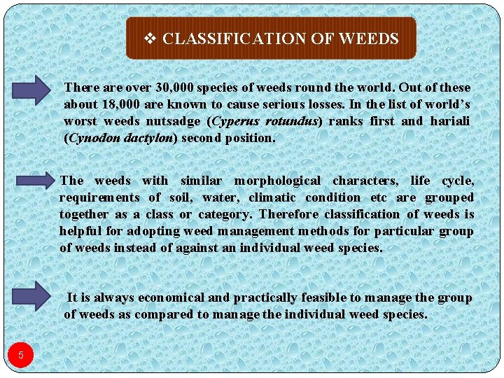 v CLASSIFICATION OF WEEDS There are over 30, 000 species of weeds round the