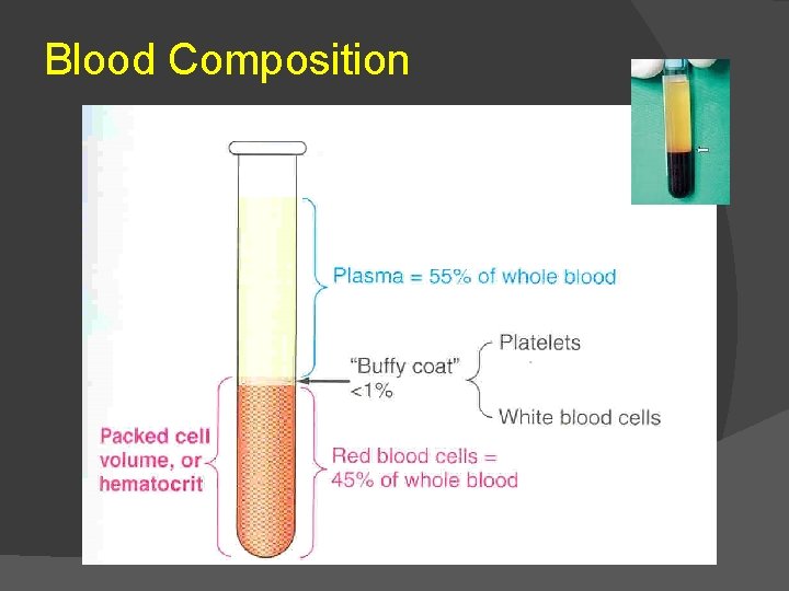 Blood Composition 