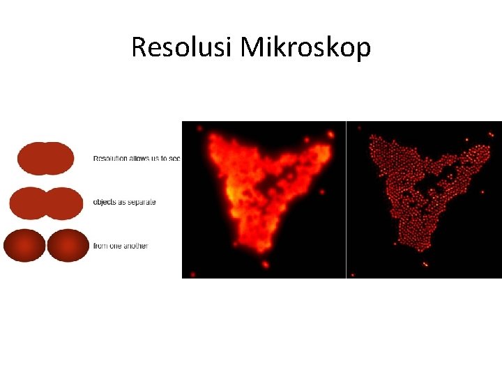 Resolusi Mikroskop 