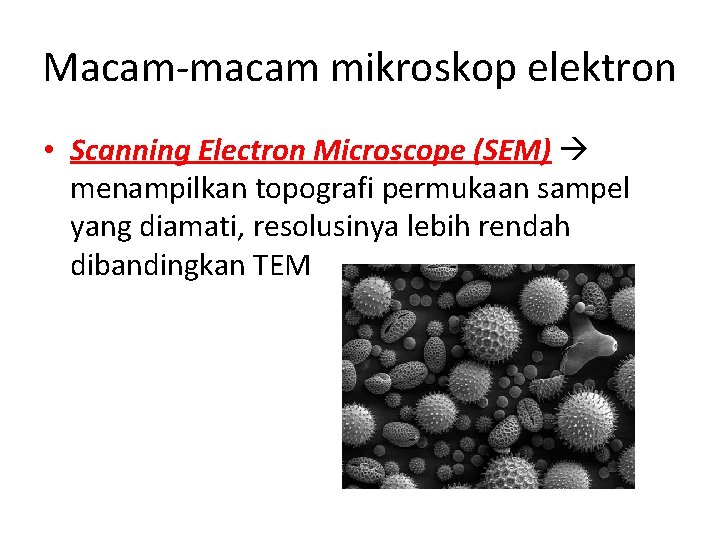 Macam-macam mikroskop elektron • Scanning Electron Microscope (SEM) menampilkan topografi permukaan sampel yang diamati,