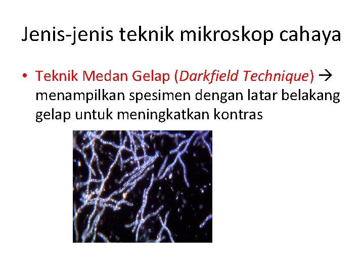 Jenis-jenis teknik mikroskop cahaya • Teknik Medan Gelap (Darkfield Technique) menampilkan spesimen dengan latar