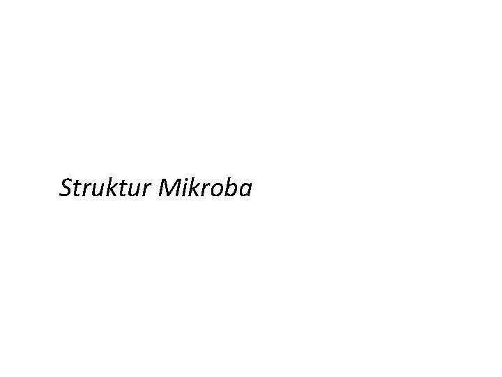 Struktur Mikroba 