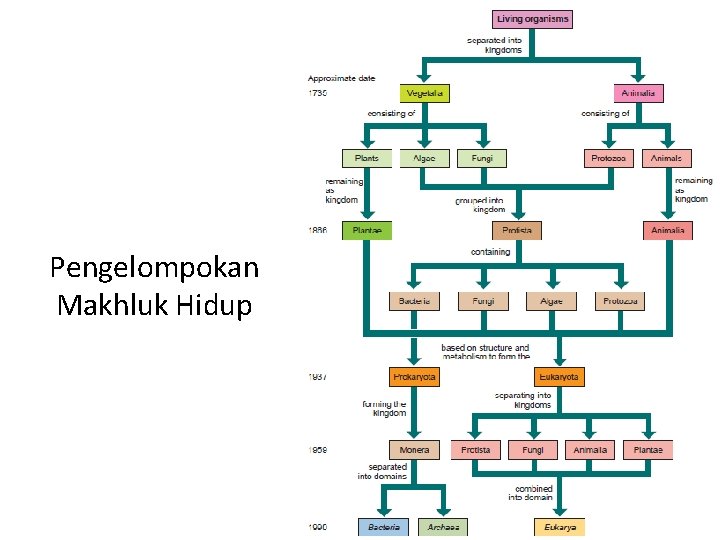 Pengelompokan Makhluk Hidup 