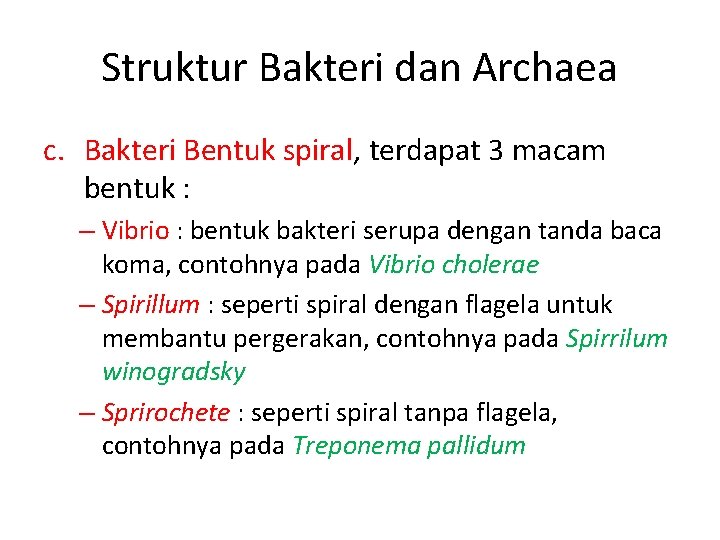 Struktur Bakteri dan Archaea c. Bakteri Bentuk spiral, terdapat 3 macam bentuk : –