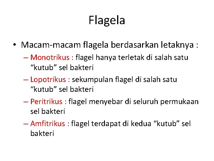 Flagela • Macam-macam flagela berdasarkan letaknya : – Monotrikus : flagel hanya terletak di
