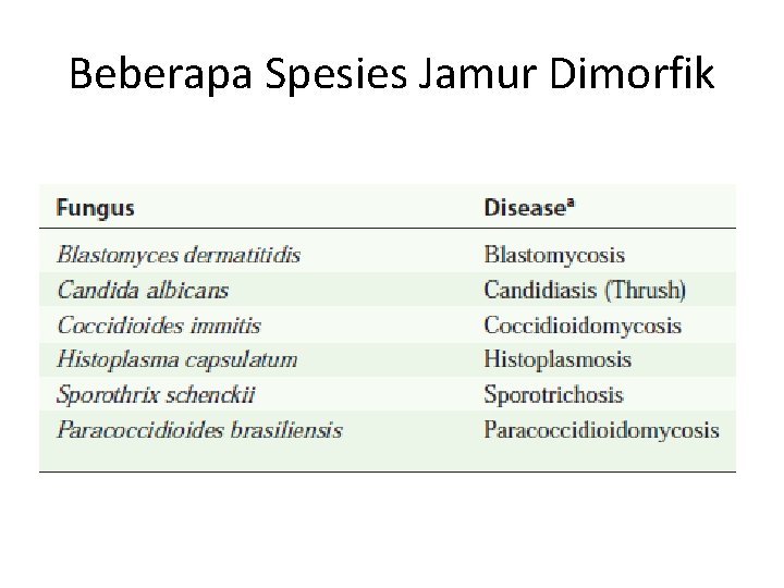 Beberapa Spesies Jamur Dimorfik 