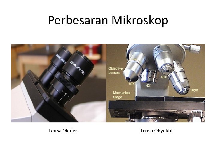 Perbesaran Mikroskop Lensa Okuler Lensa Obyektif 