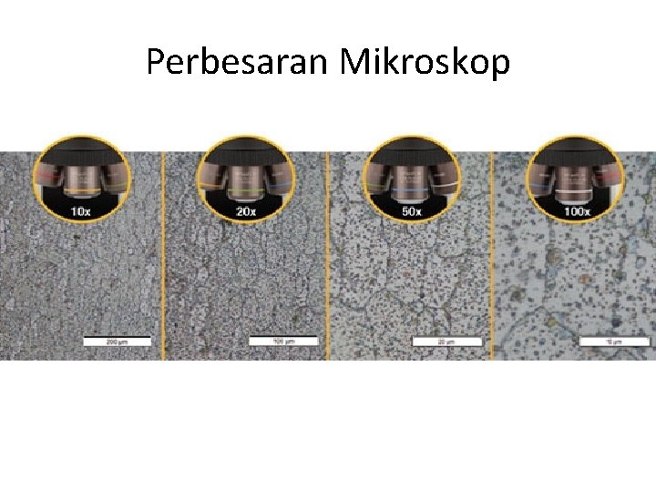 Perbesaran Mikroskop 