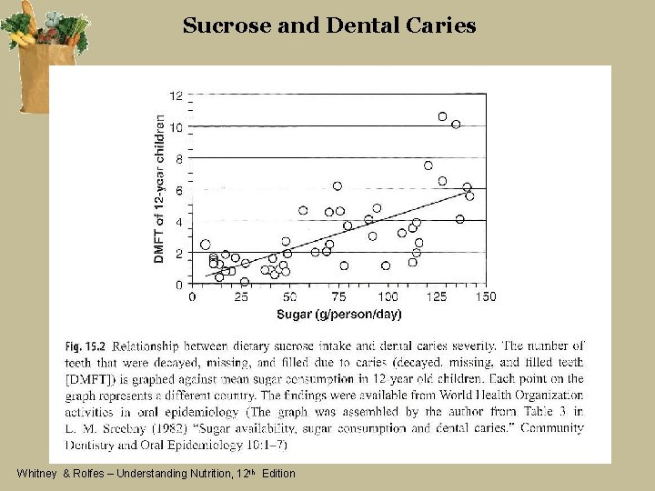 Sucrose and Dental Caries Whitney & Rolfes – Understanding Nutrition, 12 th Edition 