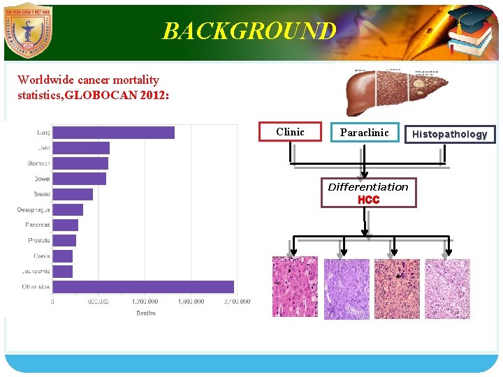 LOGO BACKGROUND Worldwide cancer mortality statistics, GLOBOCAN 2012: Clinic Paraclinic Differentiation HCC Histopathology 