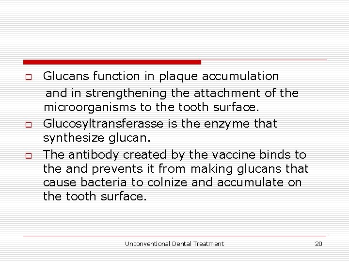 o o o Glucans function in plaque accumulation and in strengthening the attachment of