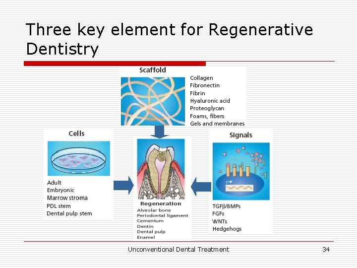 Three key element for Regenerative Dentistry Unconventional Dental Treatment 34 