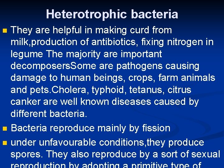 Heterotrophic bacteria n n n They are helpful in making curd from milk, production