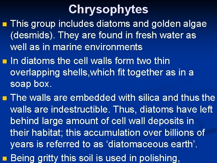 Chrysophytes n n This group includes diatoms and golden algae (desmids). They are found