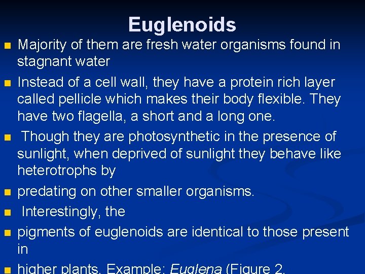 Euglenoids n n n Majority of them are fresh water organisms found in stagnant