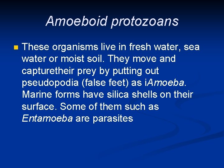 Amoeboid protozoans n These organisms live in fresh water, sea water or moist soil.