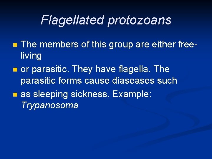 Flagellated protozoans n n n The members of this group are either freeliving or