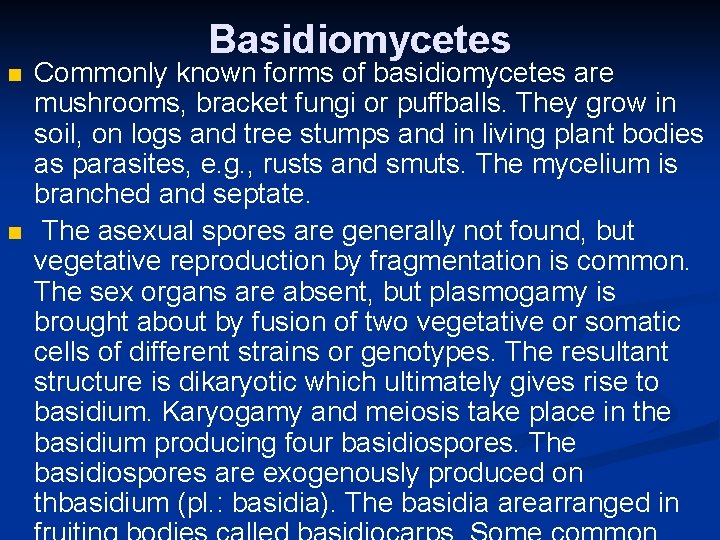 Basidiomycetes n n Commonly known forms of basidiomycetes are mushrooms, bracket fungi or puffballs.