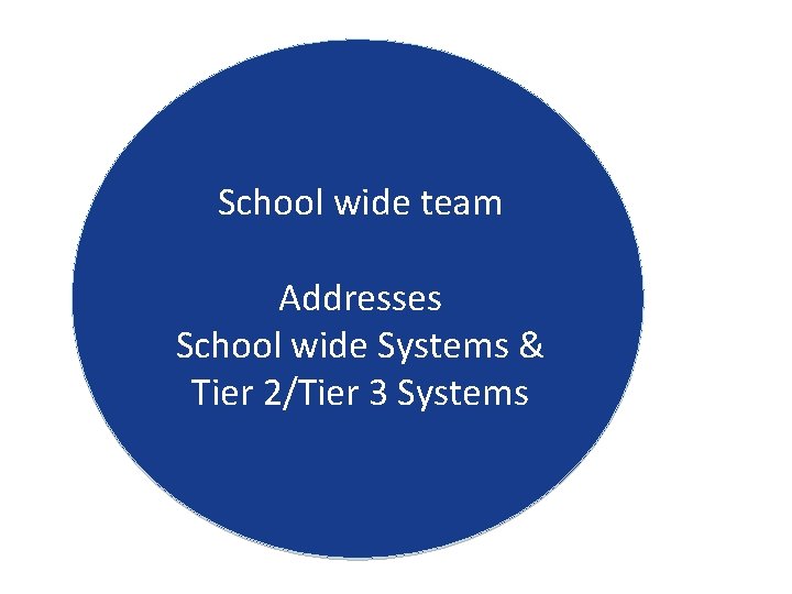 School wide team Addresses School wide Systems & Tier 2/Tier 3 Systems 