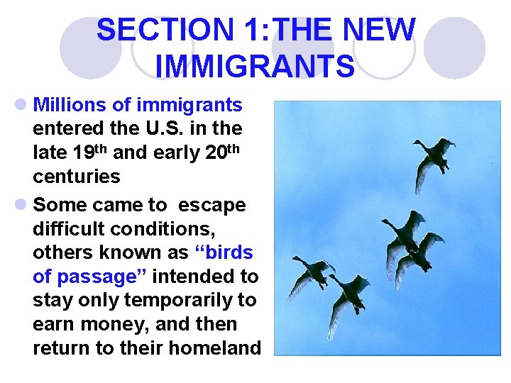 SECTION 1: THE NEW IMMIGRANTS l Millions of immigrants entered the U. S. in