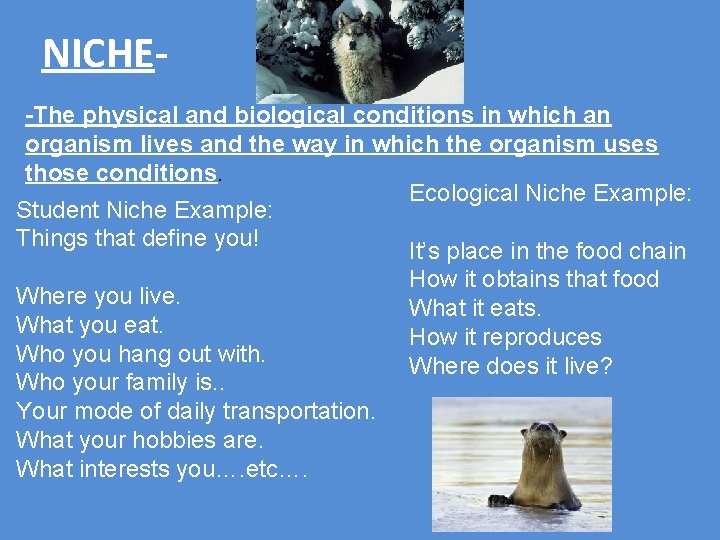 NICHE-The physical and biological conditions in which an organism lives and the way in