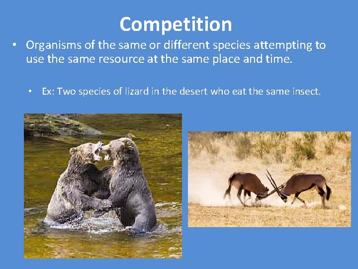 Competition • Organisms of the same or different species attempting to use the same