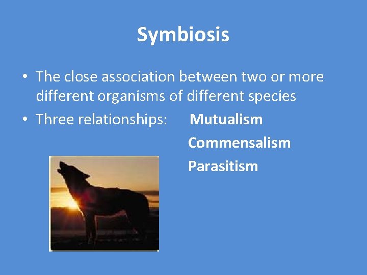 Symbiosis • The close association between two or more different organisms of different species