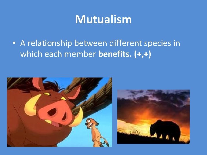 Mutualism • A relationship between different species in which each member benefits. (+, +)