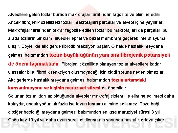 Alveollere gelen tozlar burada makrofajlar tarafından fagosite ve elimine edilir. Ancak fibrojenik özellikteki tozlar,