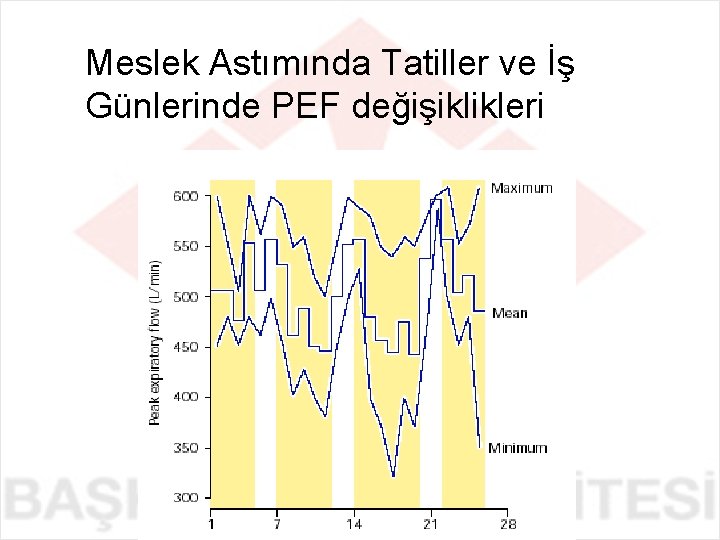 Meslek Astımında Tatiller ve İş Günlerinde PEF değişiklikleri 