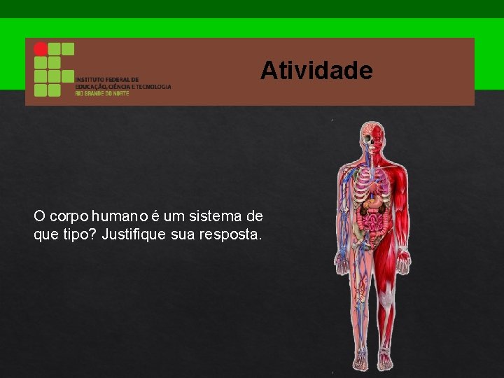 Atividade O corpo humano é um sistema de que tipo? Justifique sua resposta. 
