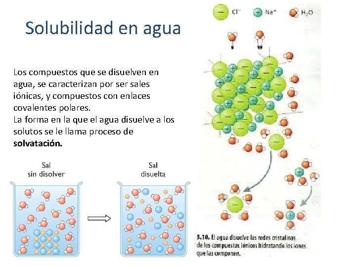 Solubilidad en agua Los compuestos que se disuelven en agua, se caracterizan por ser