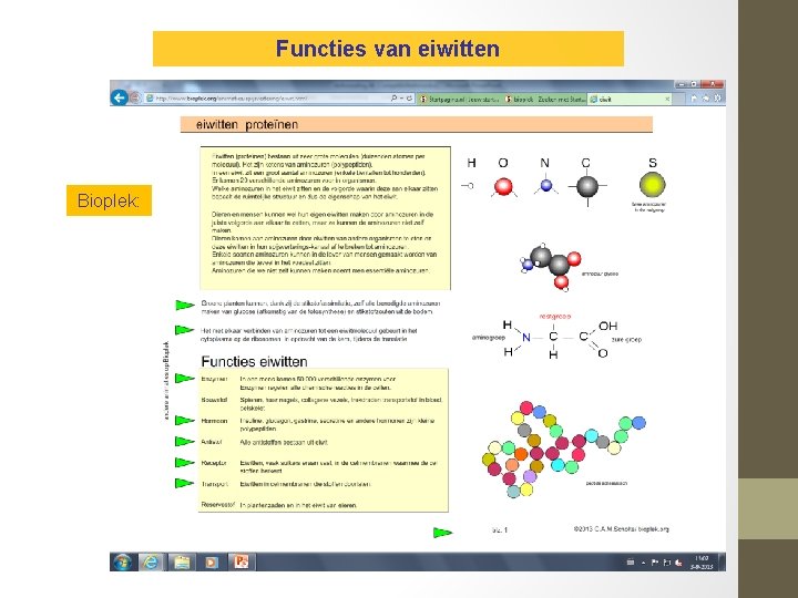 Functies van eiwitten Bioplek: 