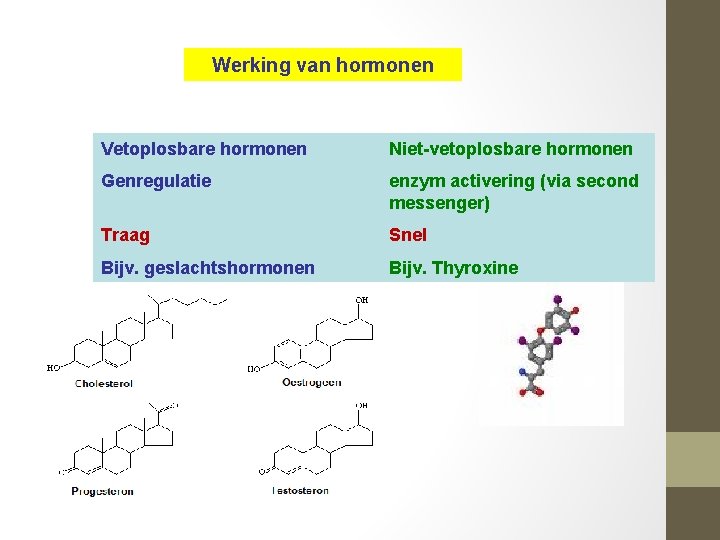 Werking van hormonen Vetoplosbare hormonen Niet-vetoplosbare hormonen Genregulatie enzym activering (via second messenger) Traag