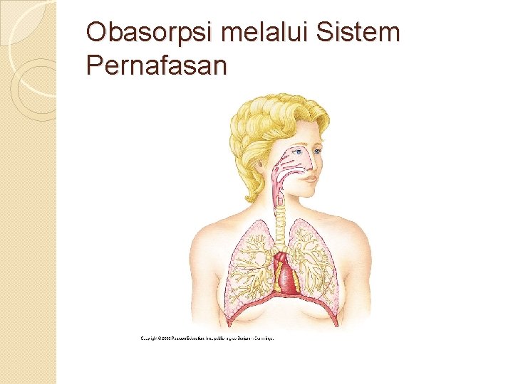 Obasorpsi melalui Sistem Pernafasan 