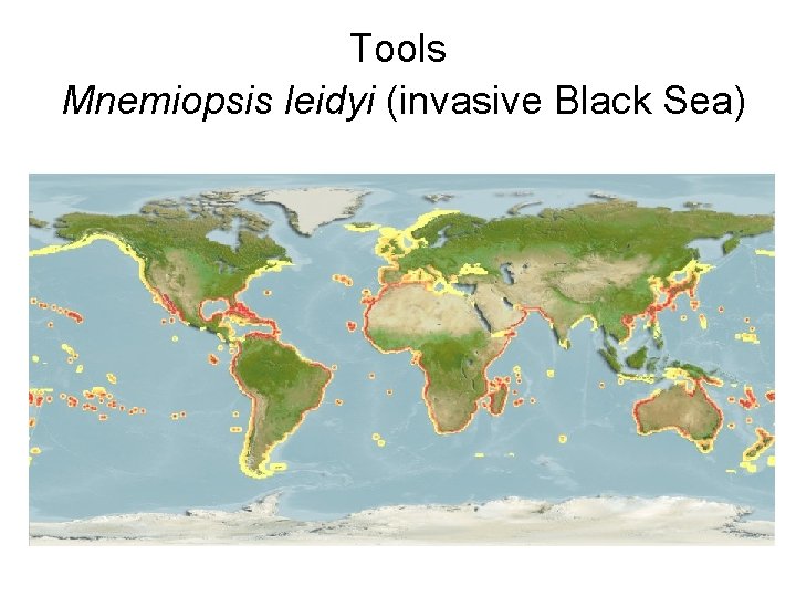 Tools Mnemiopsis leidyi (invasive Black Sea) 