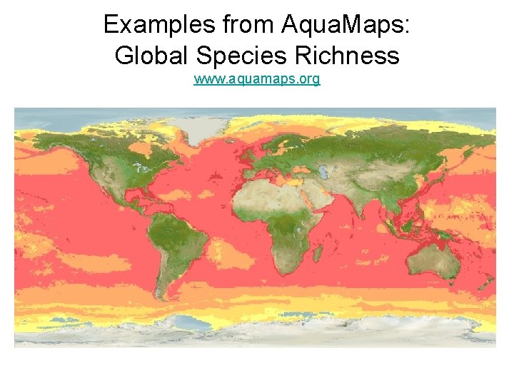 Examples from Aqua. Maps: Global Species Richness www. aquamaps. org 