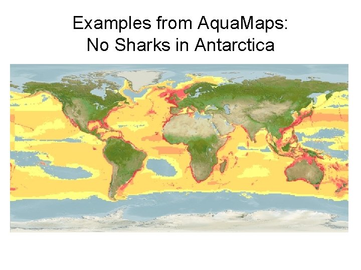 Examples from Aqua. Maps: No Sharks in Antarctica 
