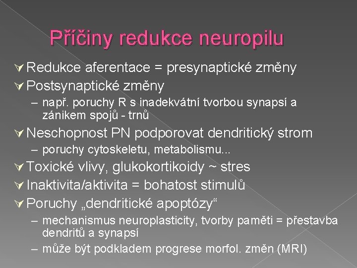Příčiny redukce neuropilu Redukce aferentace = presynaptické změny Postsynaptické změny – např. poruchy R