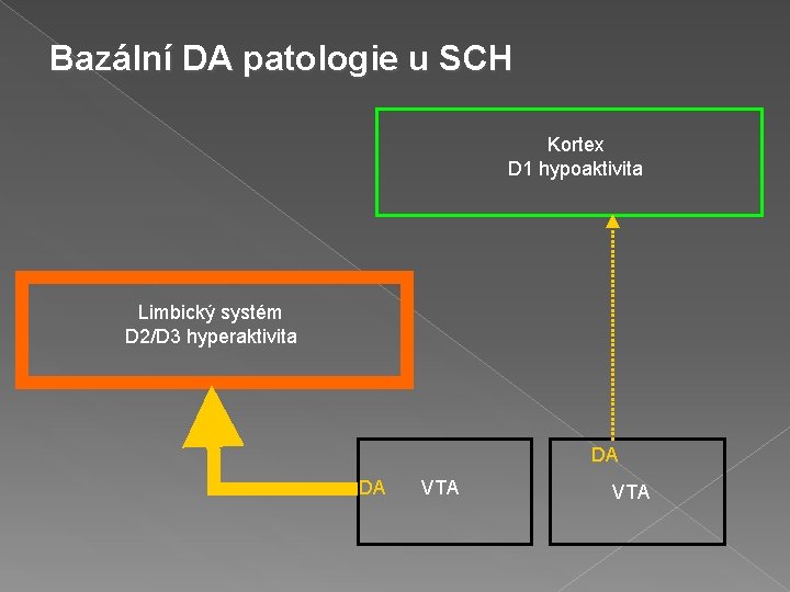 Bazální DA patologie u SCH Kortex D 1 hypoaktivita Limbický systém D 2/D 3