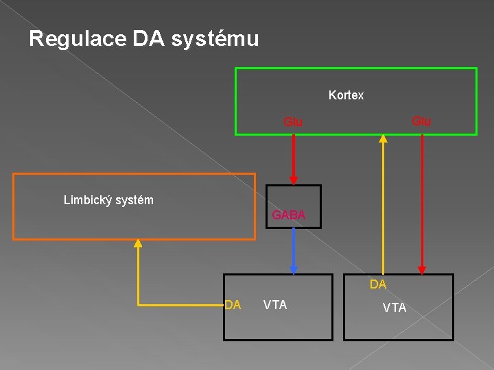 Regulace DA systému Kortex Glu Limbický systém GABA DA DA VTA 