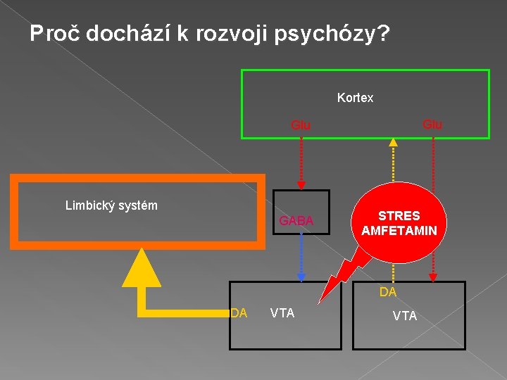 Proč dochází k rozvoji psychózy? Kortex Glu Limbický systém GABA STRES AMFETAMIN DA DA