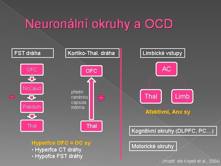 Neuronální okruhy a OCD FST dráha OFC Nc. Caud Palidum Thal Kortiko-Thal. dráha Limbické