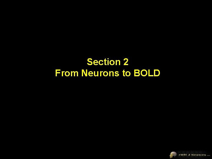 Section 2 From Neurons to BOLD 